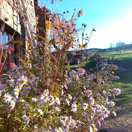 Le Marconnes Bed & Breakfast *